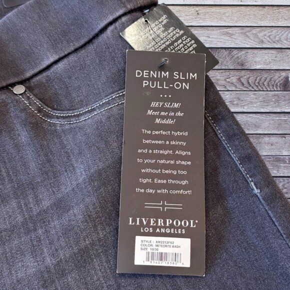 NWT Liverpool Size 10/30 Meteorite Wash (Gray) Sienna Legging Pull-on Denim Jean - Picture 8 of 9